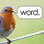 birdistheword Avatar
